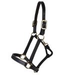 Halter