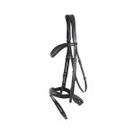 Bridle
