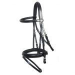 Bridle